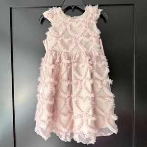 NWT Rare Editions girls size 5 blush rose hearts dress